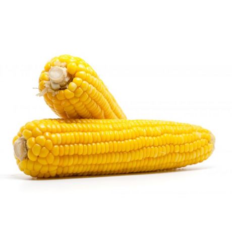 Kukorica predvarená 400g