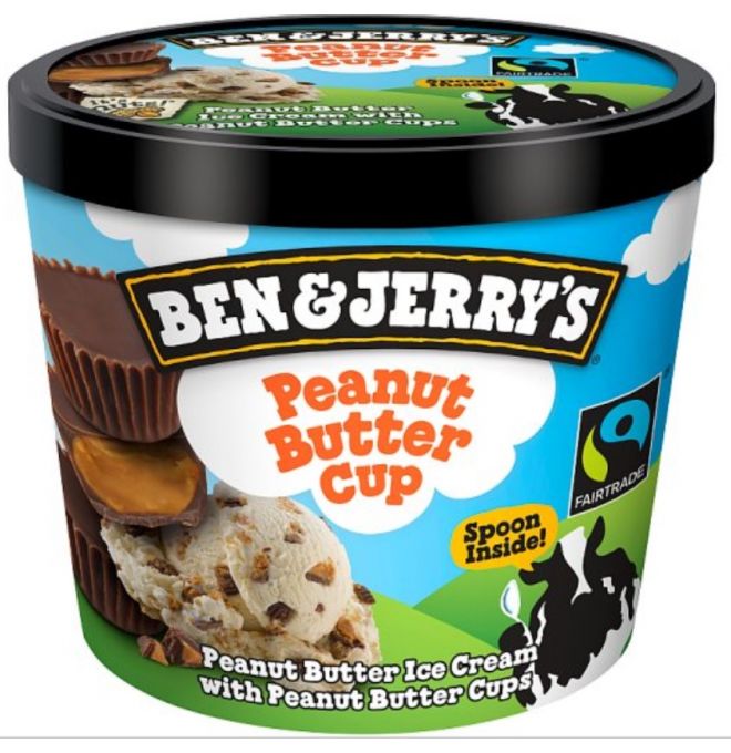 Ben & Jerry's Peanut Butter Cup mrazený krém 100ml